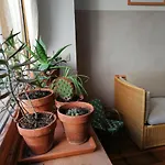 住宿加早餐酒店 File Dans Ta !