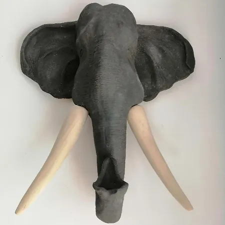 File Dans Ta ! 3* Le Monastier sur Gazeille