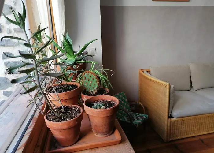 Bed & Breakfast File Dans Ta !