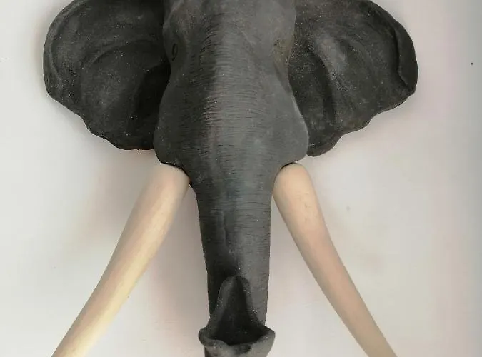 File Dans Ta ! 3* Le Monastier sur Gazeille